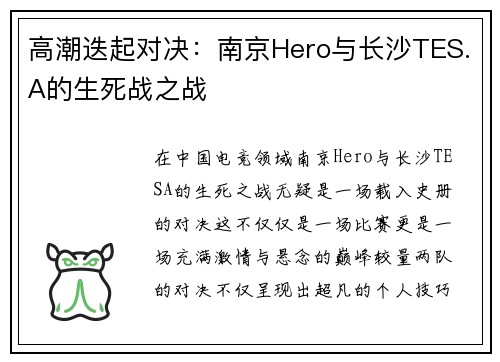 高潮迭起对决：南京Hero与长沙TES.A的生死战之战